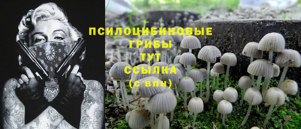 соль курить ск Михайловка
