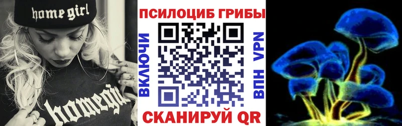 Галлюциногенные грибы Cubensis Ковылкино