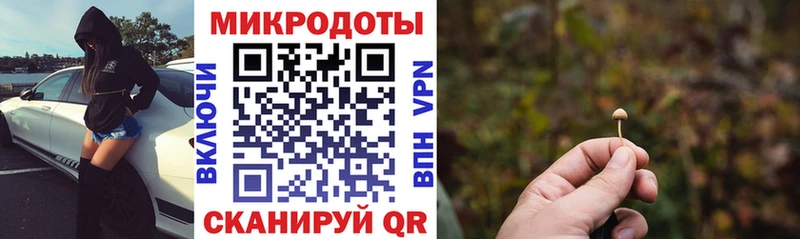Купить закладки  Ковылкино  Псилоцибиновые грибы MAGIC MUSHROOMS 
